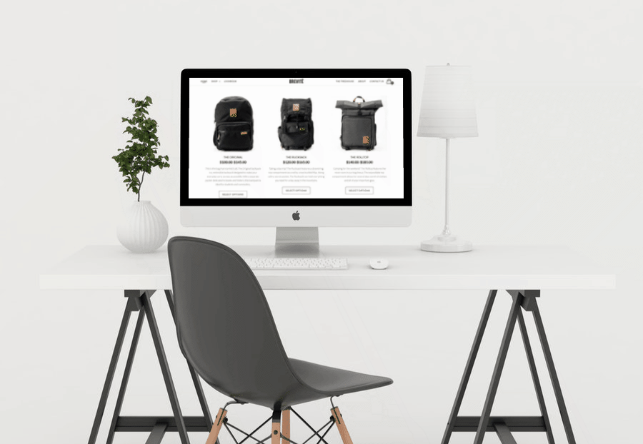 Lead Generation Brevite Ecommerce Case Study